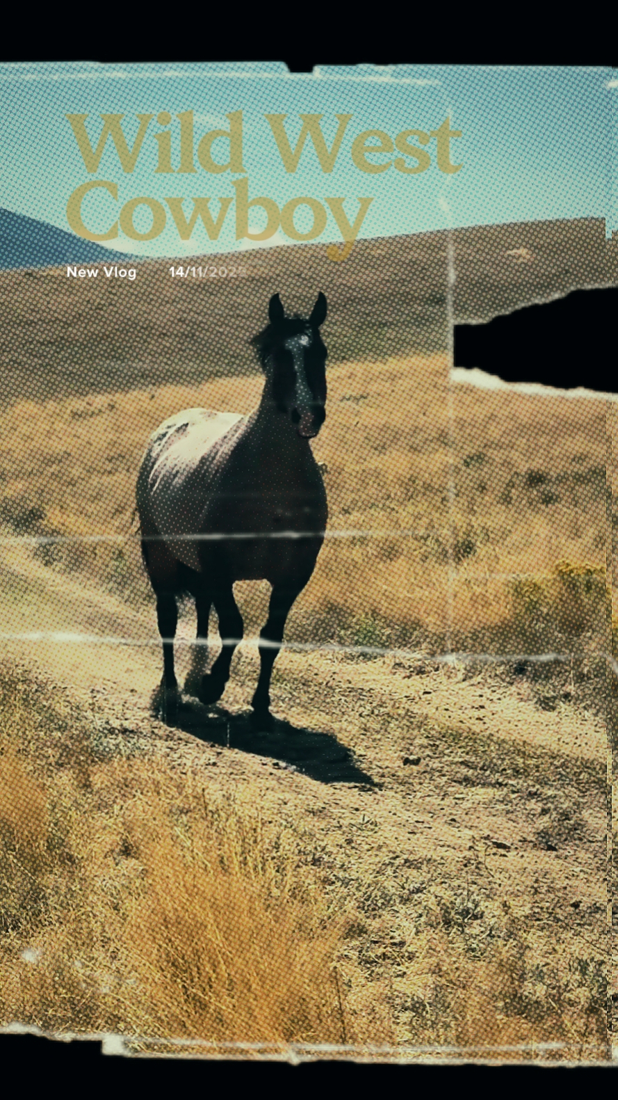 WILD WEST COWBOY