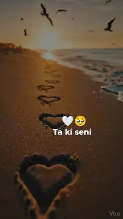 Ta Ki Seni Görene 