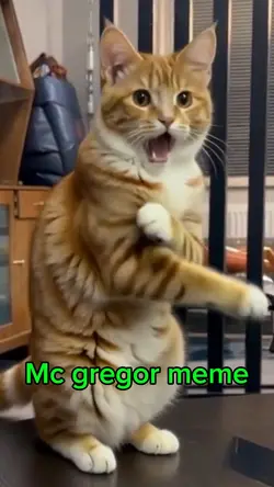 Mc gregor