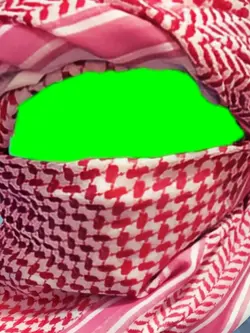habibi eye trend