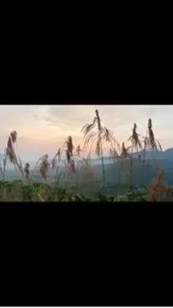 58 ảnh + video l