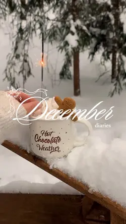 DECEMBER DIARIES 