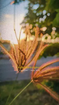 ปลดล็อค|หนุ่มสกล