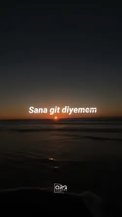 Sana Git Diyemem