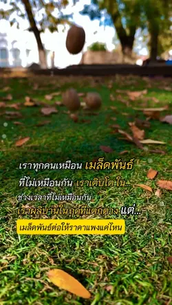 เราก็เหมือนเมล็ดพันธ