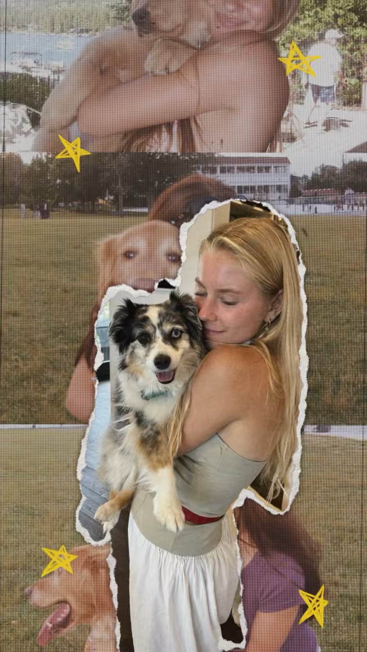Dog Day