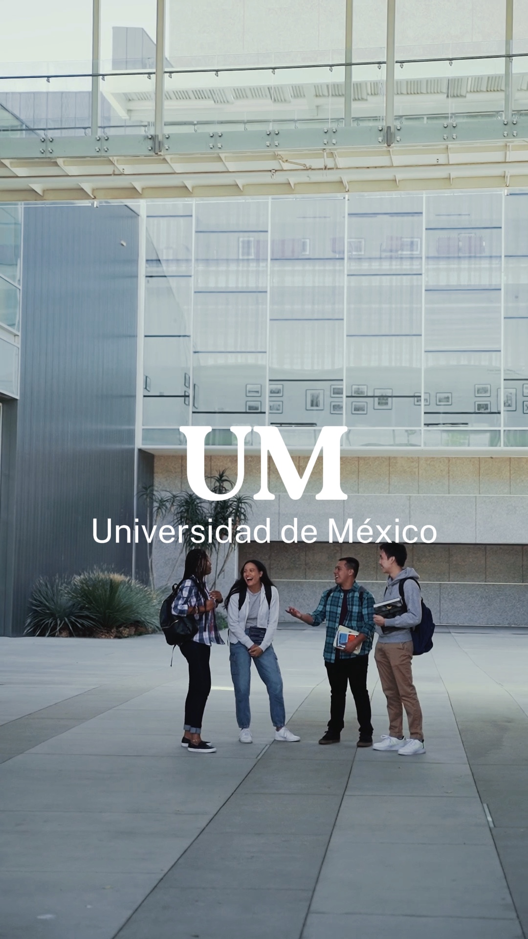 Universidad