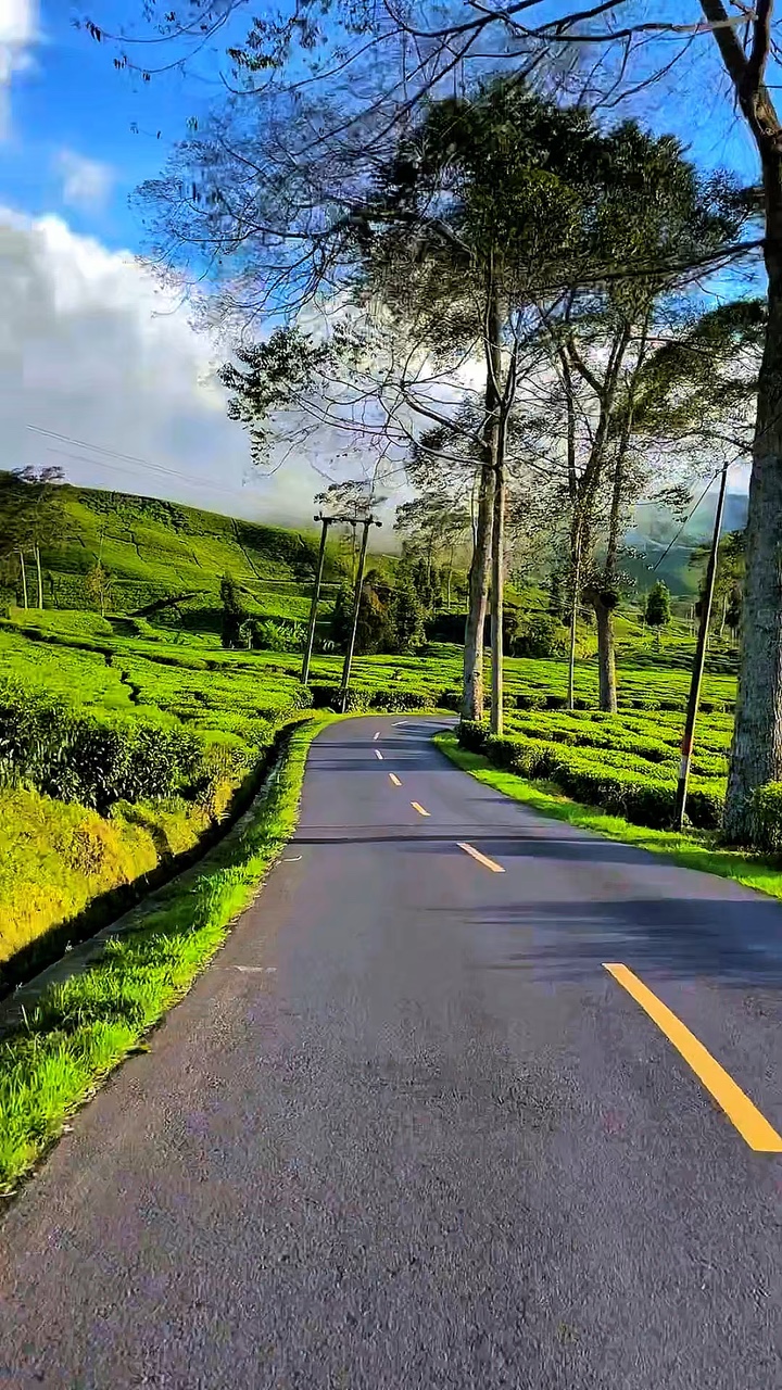 3 vidéo roadtrip HD