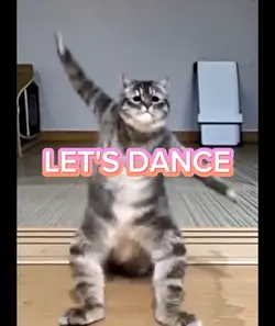 LET'S DANCE