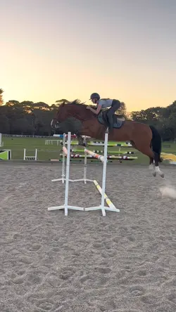 she’s insane 😍🦄