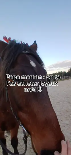 joyeux...