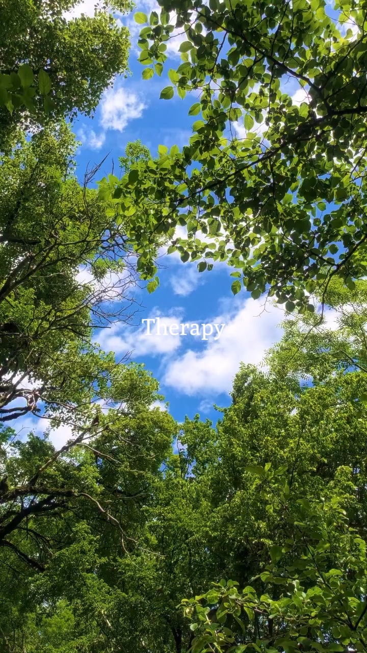 Vlog Natur