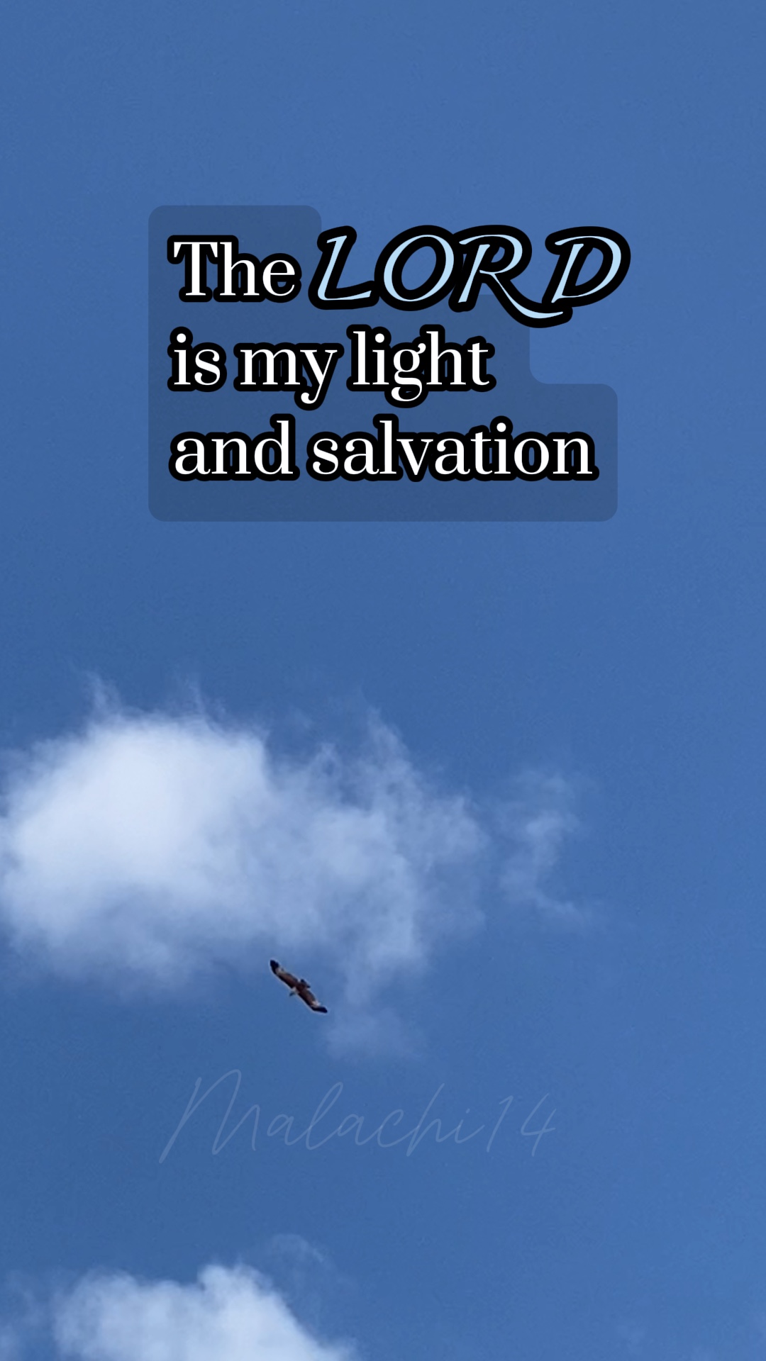 Cover Picture