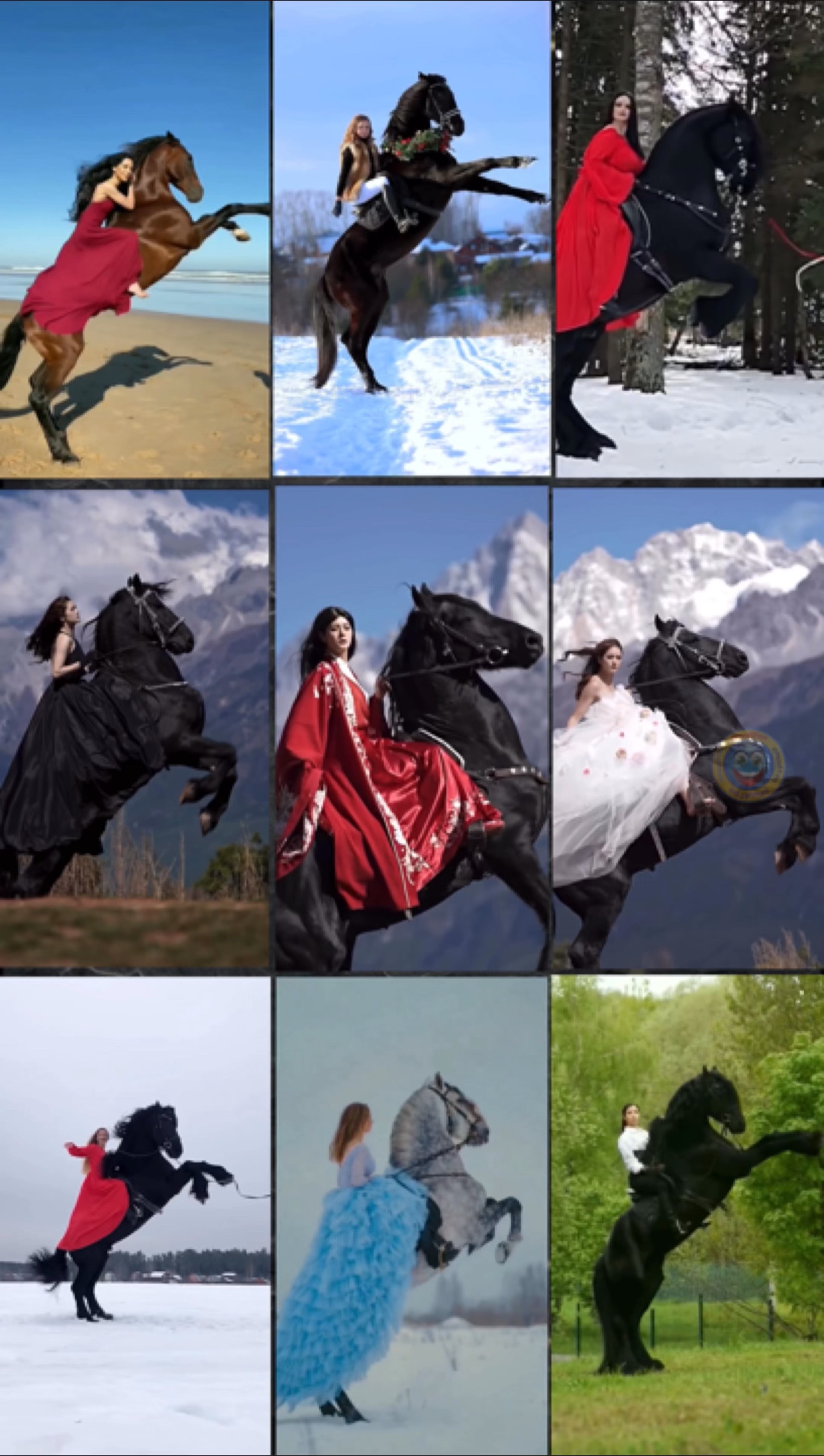 Horses!🔥🔥🔥