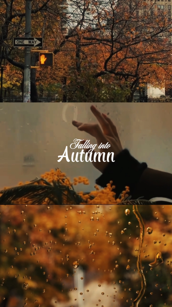 Falling into Autumn