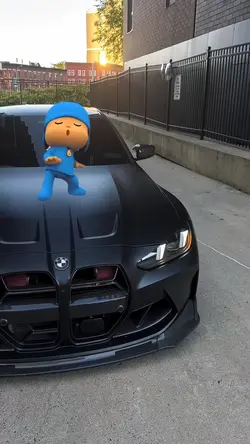 POCOYO TREND