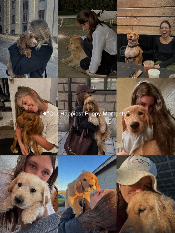 Meine Hundemomente