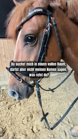 Bin gespannt