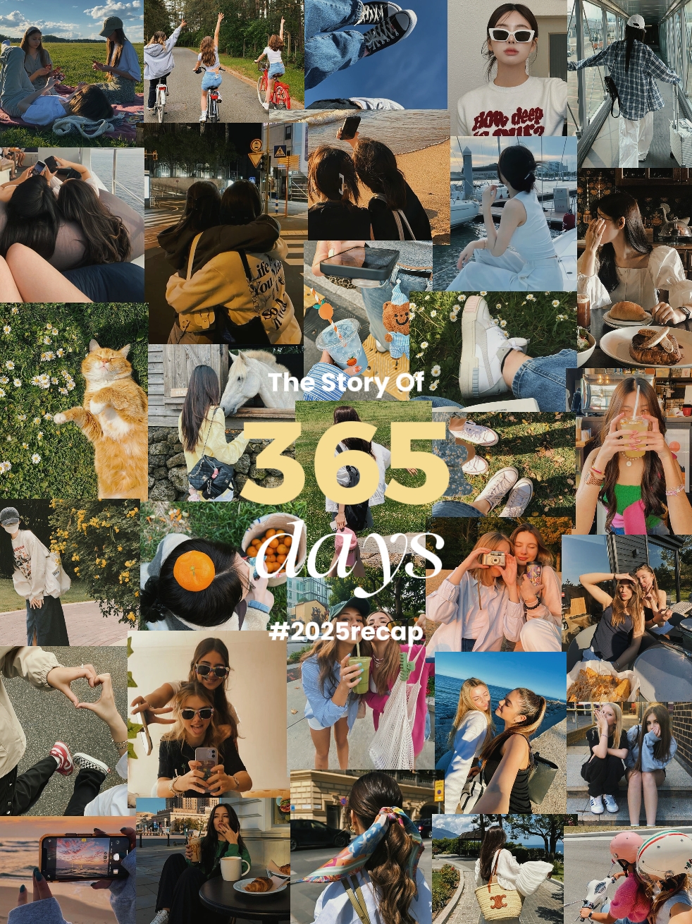 Rekap 365 Hari 2025