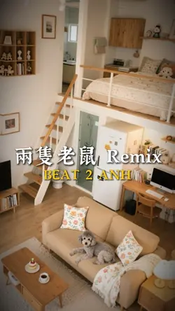 兩隻老鼠 Remix