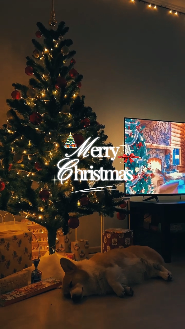 Feliz Natal