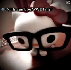 Im a WWE fan!!