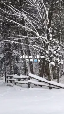 winter vibes 