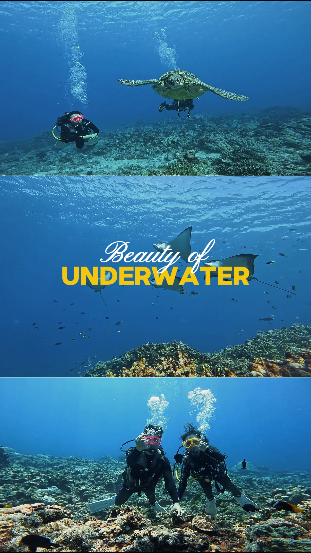 Belleza del submarino