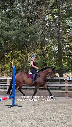 cannot beat my horse