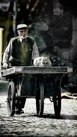 Bindirme şablon