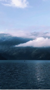 Lagu gayo trentiktok