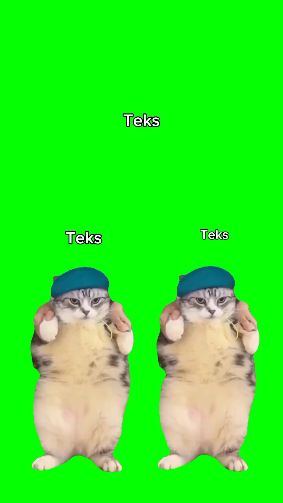 layar cat green