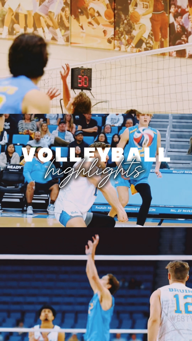 Volleyball Highlight