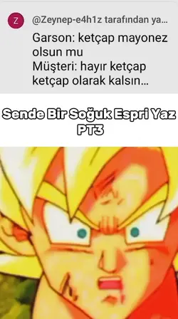 SOĞUK ESPRİ PT3
