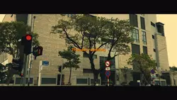 FILM MV