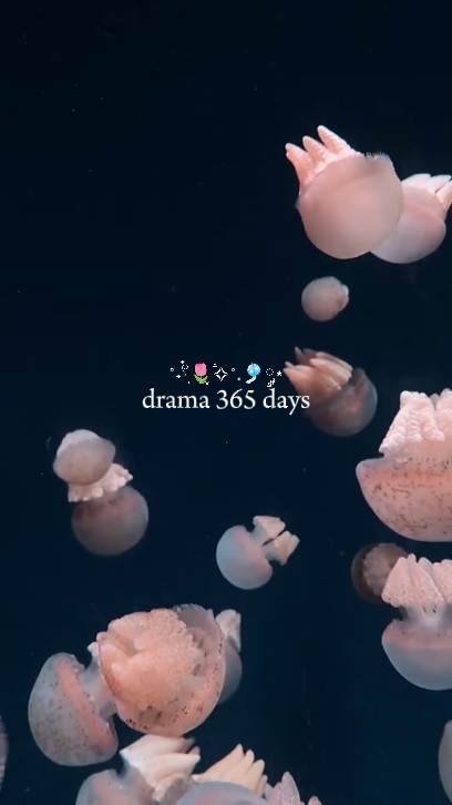 Drama 365 días