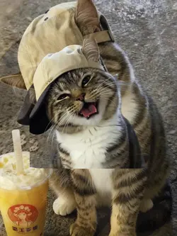 Cool Beat Transition