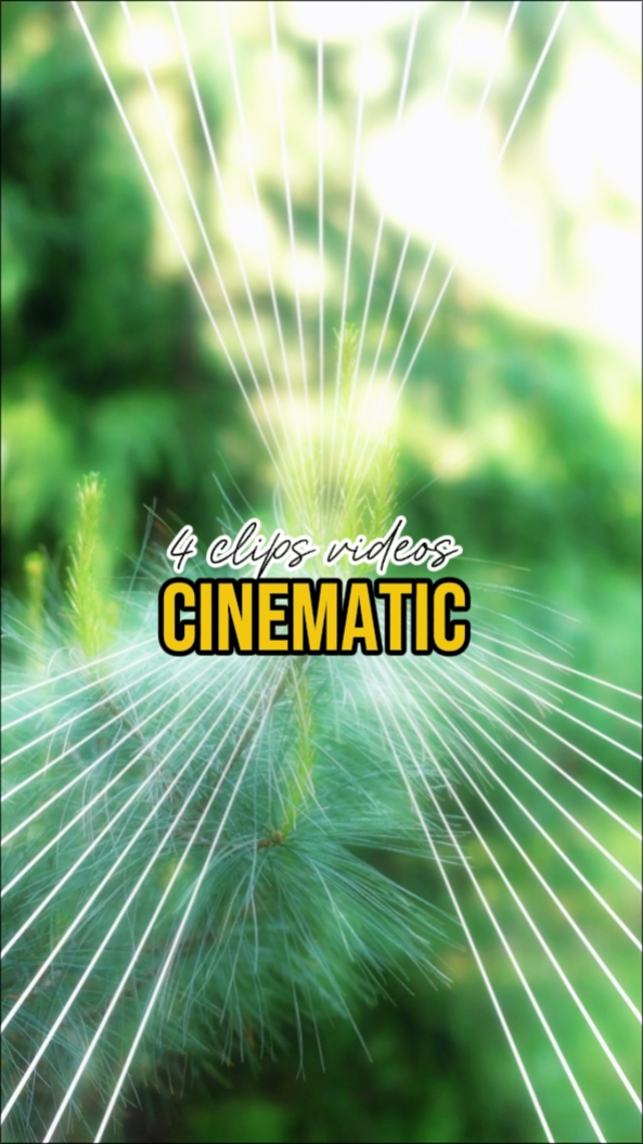 4 filmische Videos 