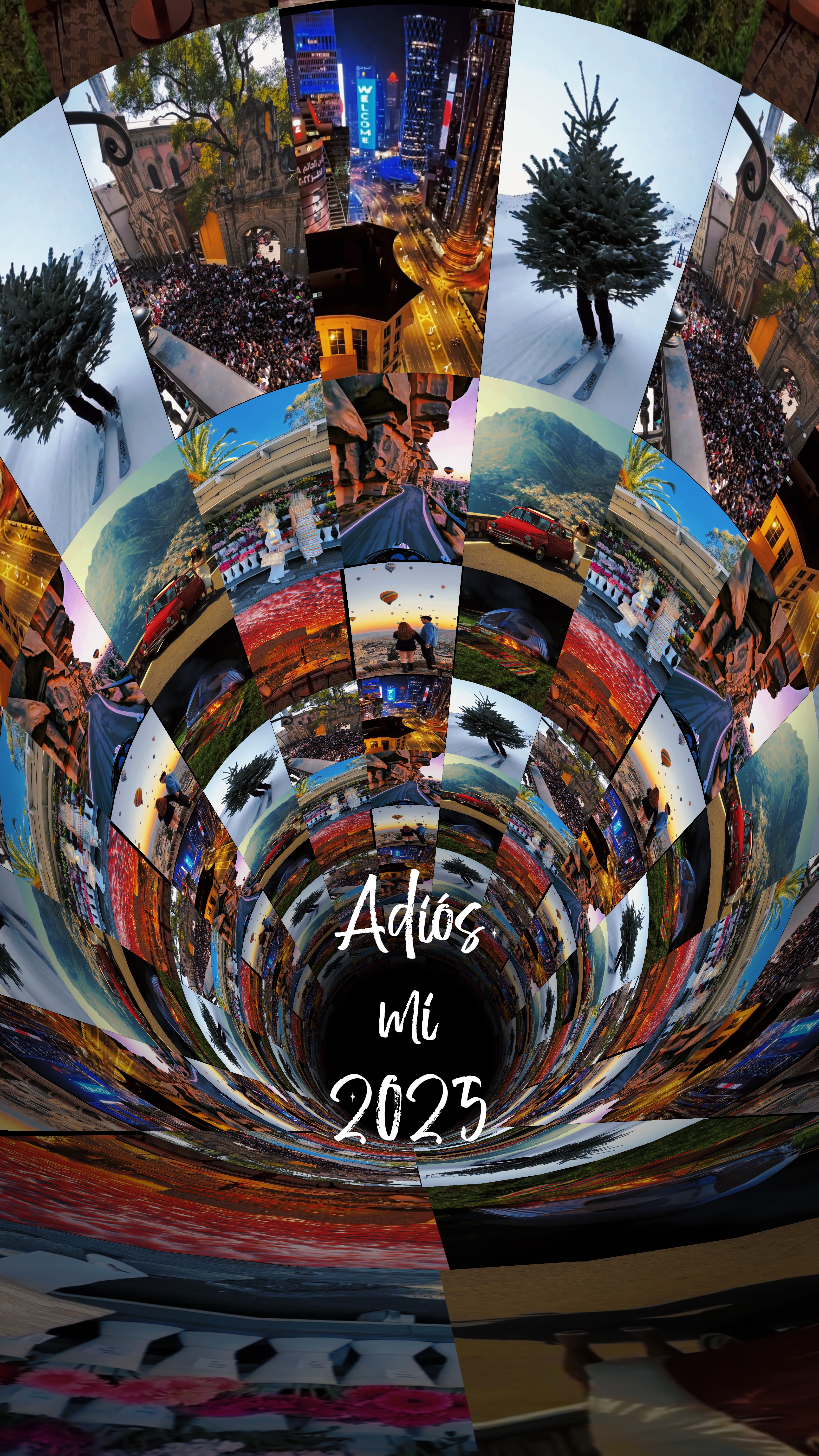 Adiós resumen 2025