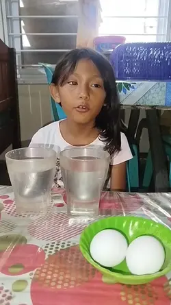 EGG EXPERIMENT