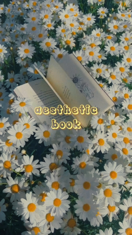 LIVRE ESTHÉTIQUE