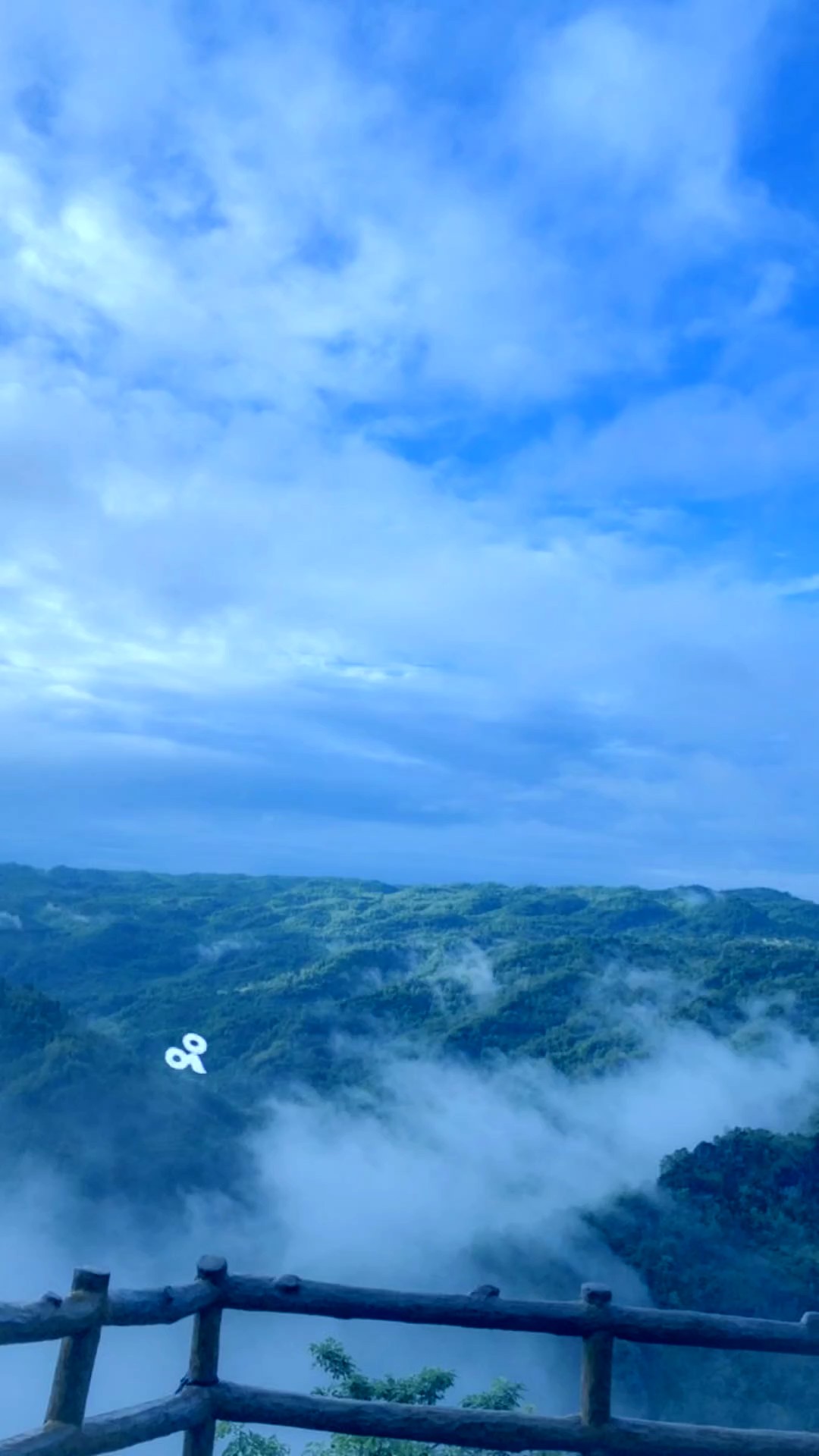 တိမ်ပင်လယ်