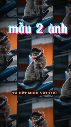 Gọi là đam mê 