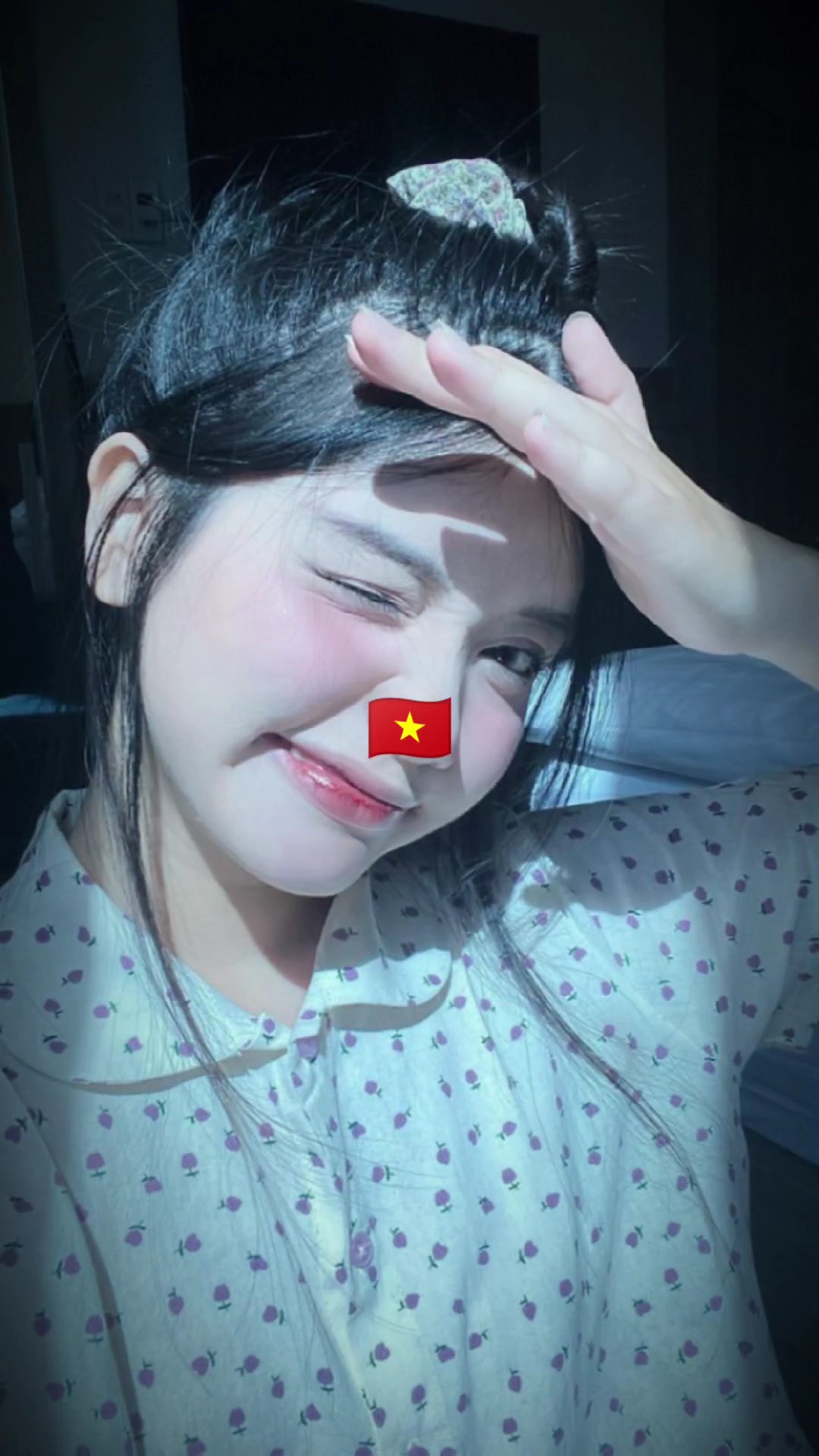 we are vietnammese