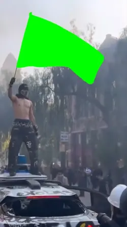 LA PROTEST FLAG