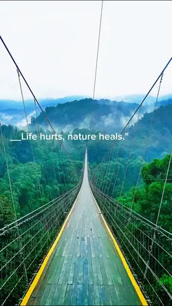 Back to nature