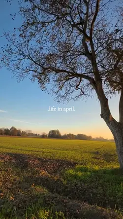 Life in april