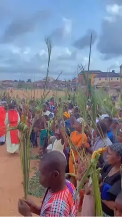 Happy Palm Sunday