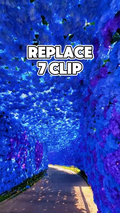 7 Clips