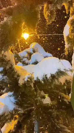 Slowmotion